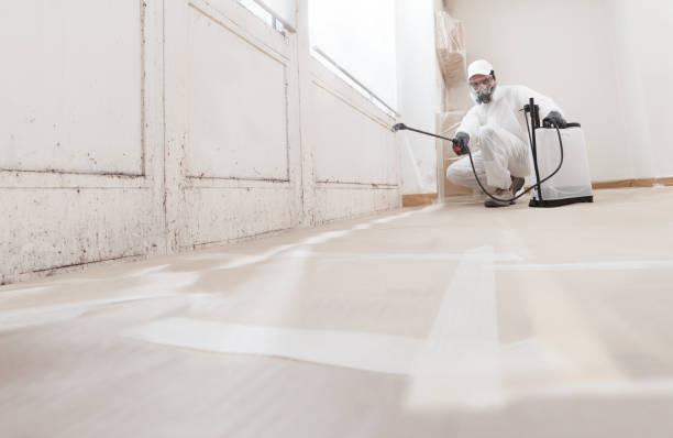 24/7 Emergency Attic Mold Remediation experts in Lorton, VA